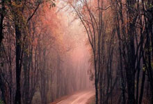 开云：梅里诺头球破门制胜 阿森纳一球小胜切尔西.