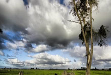 英超-帕尔默双响 进球大战切尔西4-3热刺.