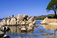 体育总局发布全国性体育社会组织年春季公开招聘人员公告.